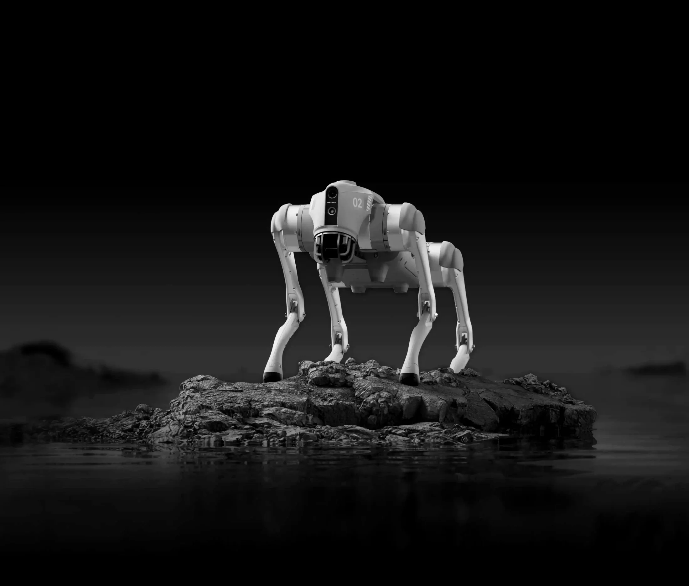 Unitree Go2 / B2, Unitree Quadruped